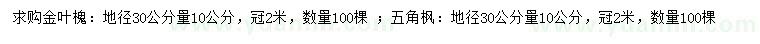 求購地徑30公分量10公分金葉槐、五角楓