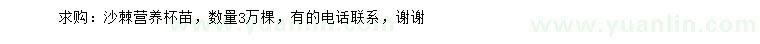求購(gòu)沙棘苗