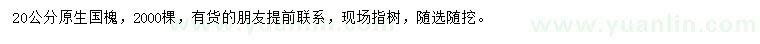 求購(gòu)20公分國(guó)槐