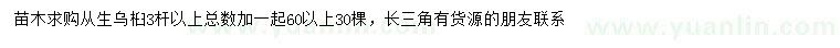 求購(gòu)60公分以上從生烏桕