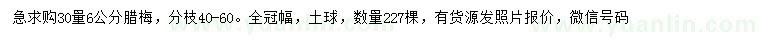 求購30量6公分臘梅