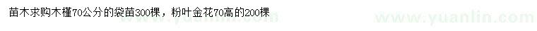 求購70公分木槿、粉葉金花