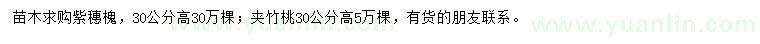 求購高30公分紫穗槐、夾竹桃