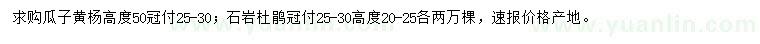 求購高度50公分瓜子黃楊、20-25公分石巖杜鵑