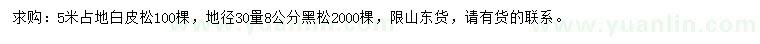 求購5米占地白皮松、地徑30量8公分黑松