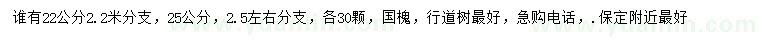 求購22、25公分國槐