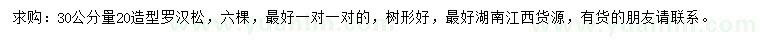 求購30公分量20公分造型羅漢松
