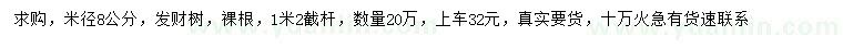 求購米徑8公分發(fā)財樹