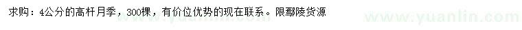 求購4公分高桿月季