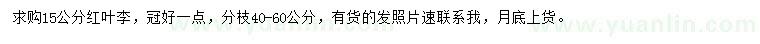 求購15公分紅葉李