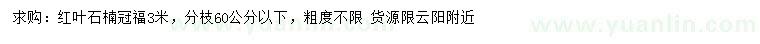 求購(gòu)冠幅3米紅葉石楠