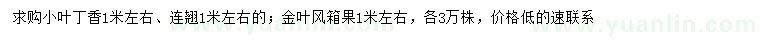 求購小葉丁香、連翹、金葉風箱果