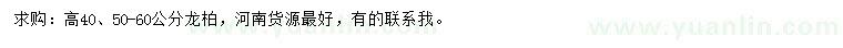 求購高40、50-60公分龍柏