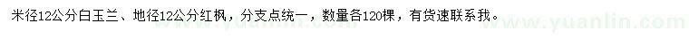 求購米徑12公分白玉蘭、地徑12公分紅楓