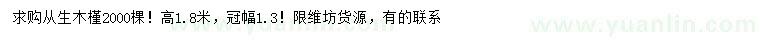求購(gòu)高1.8米從生木槿