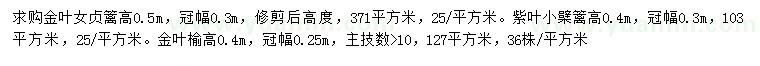 求購(gòu)金葉女貞、紫葉小檗、金葉榆