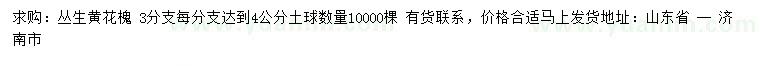 求購(gòu)叢生黃花槐