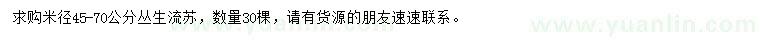 求購米徑45-70公分叢生流蘇