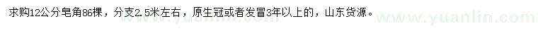 求購12公分皂角