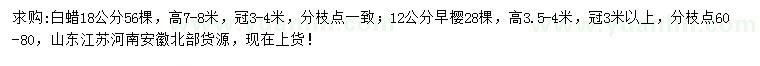 求購(gòu)18公分白蠟、12公分早櫻