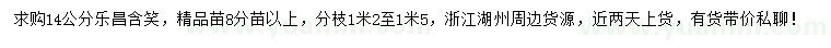 求購14公分樂昌含笑