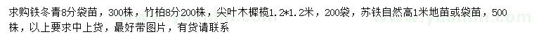 求購鐵冬青、竹柏、尖葉木樨欖等