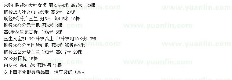 求購大葉女貞、廣玉蘭、元寶楓等