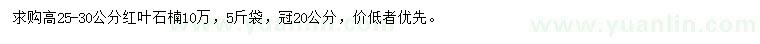 求購高25-30公分紅葉石楠