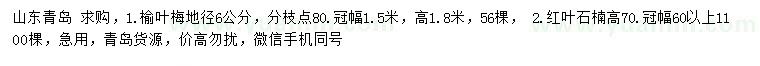 求購地徑6公分榆葉梅、高70公分紅葉石楠