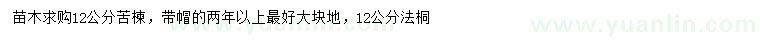 求購12公分苦楝、法桐