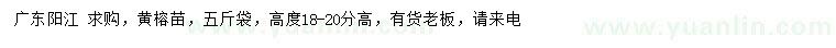 求購高度18-20公分黃榕苗