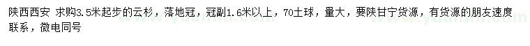 求購3.5米起步云杉