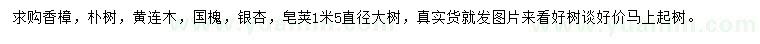 求購香樟、樸樹、黃連木等
