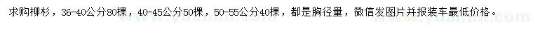 求購胸徑36-40、40-45、50-55公分柳杉