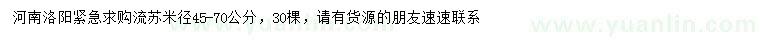 求購米徑45-70公分流蘇