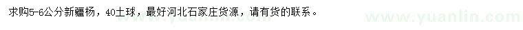 求購5-6公分新疆楊