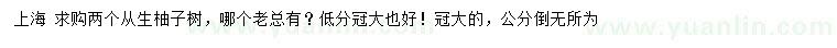 求購從生柚子樹