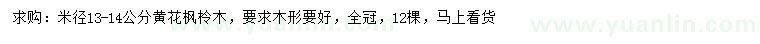 求購米徑13-14公分黃花楓柃木