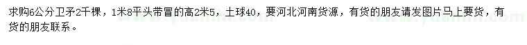 求購(gòu)6公分衛(wèi)矛