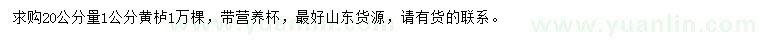 求購20公分量1公分黃櫨