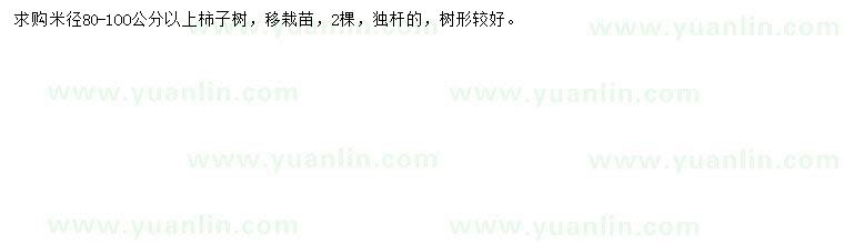 求購米徑80-100公分柿子樹