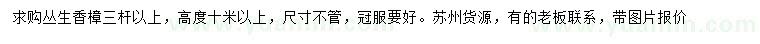 求購(gòu)三桿以上叢生香樟