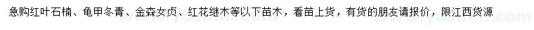 求購(gòu)紅葉石楠、龜甲冬青、金森女貞等