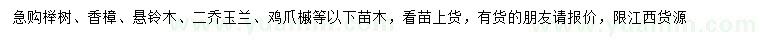 求購(gòu)櫸樹(shù)、香樟、懸鈴木、二喬玉蘭等