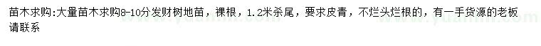 求購8-10公分發(fā)財(cái)樹