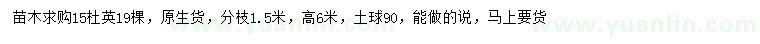 求購15公分杜英