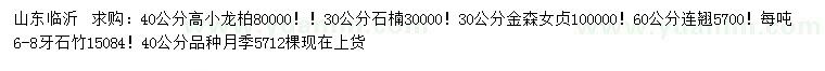 求購小龍柏、石楠、金森女貞等