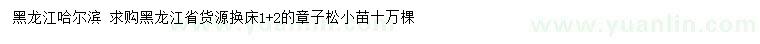 求購章子松小苗