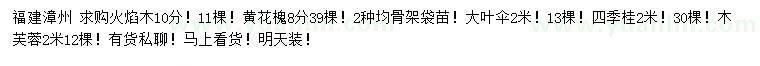 求購火焰木、黃花槐、大葉傘等
