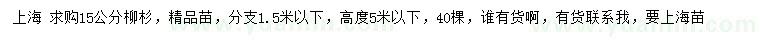 求購15公分柳杉